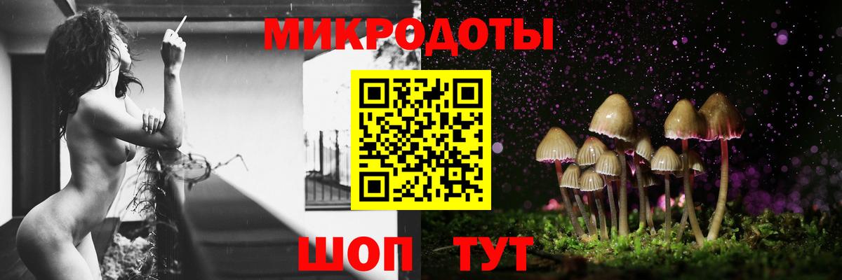 Галлюциногенные грибы GOLDEN TEACHER  Вход с VPN  закладки  Новоалександровск 