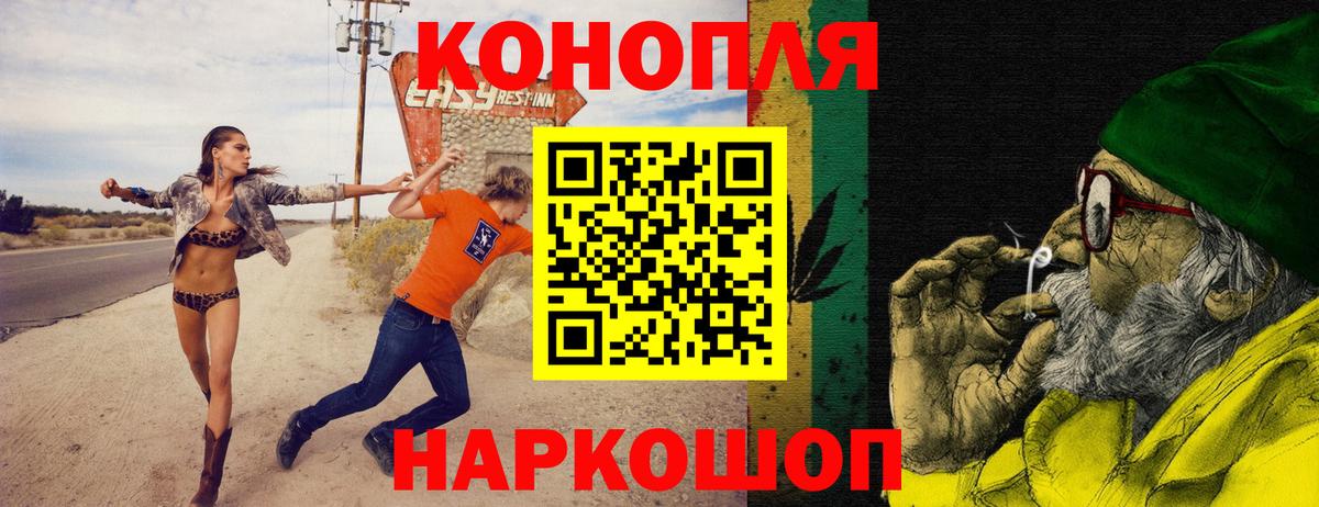 Конопля OG Kush Новоалександровск